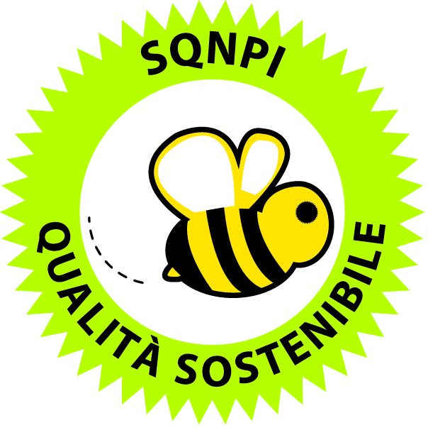 Logo_SQNPI_def Logo_SQNPI_def